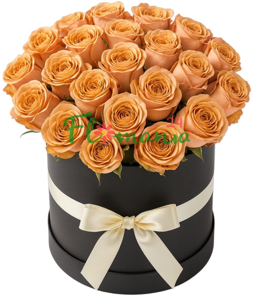 25 роз капучино в шляпной коробке Cappuccino Rose